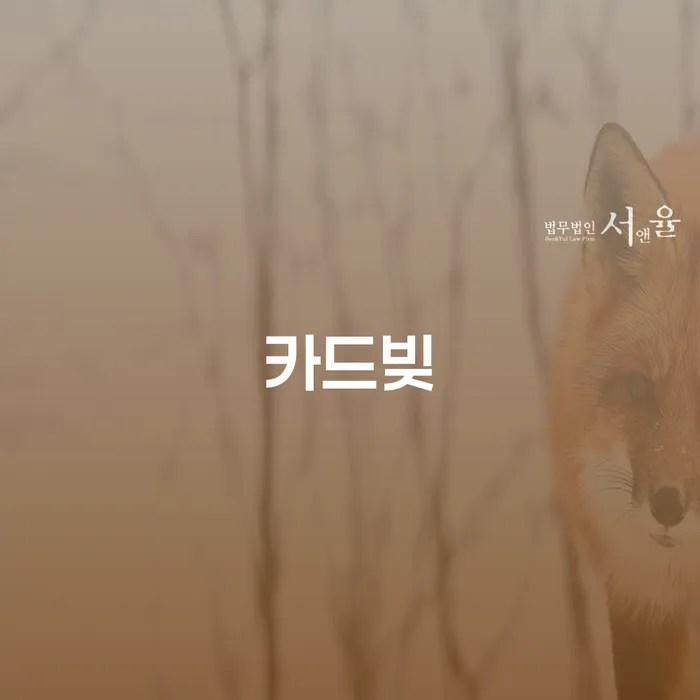 파산신고비용 개인회생으로 방법 상담으로 확인하고