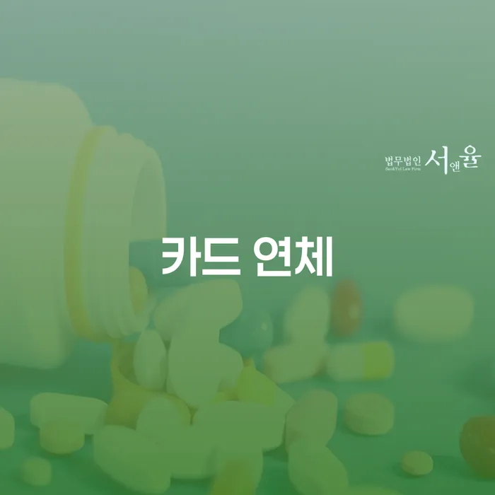 카드대금 연체 개인회생으로 해결방법 해결하기