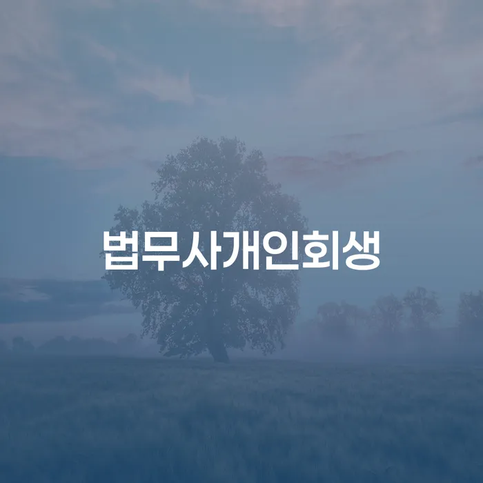 개인대출 연체 시 빚 합법적인 빠른방법 절차 이해해야