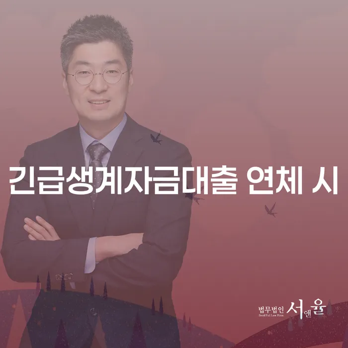 다중채무자 연체 시 대출 연체 개인회생 확실한 진행
