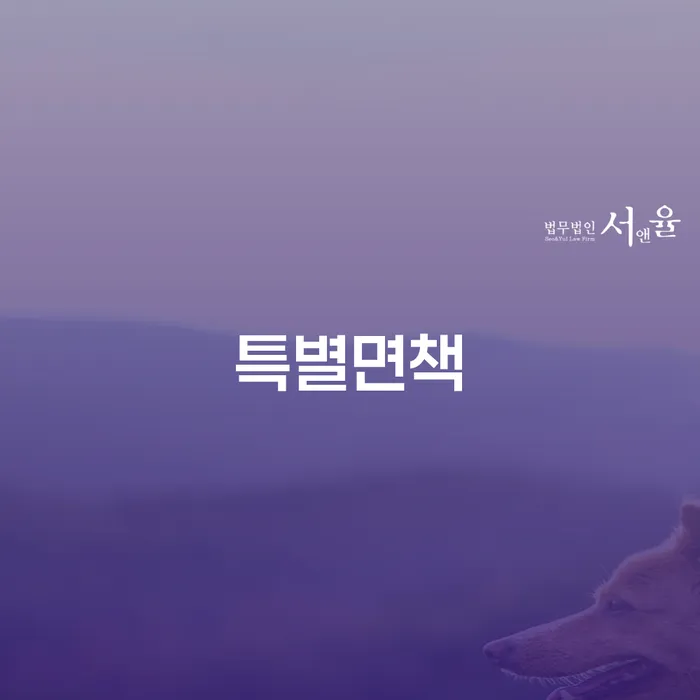 개인회생신용회복 개인회생 문제해결방법 할려는데