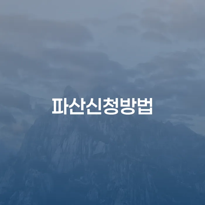 개인회생 개인회생으로 해결방법 탕감을진행