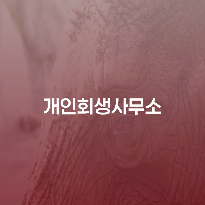 도박회생 개인회생,개인파산으로 높아진
