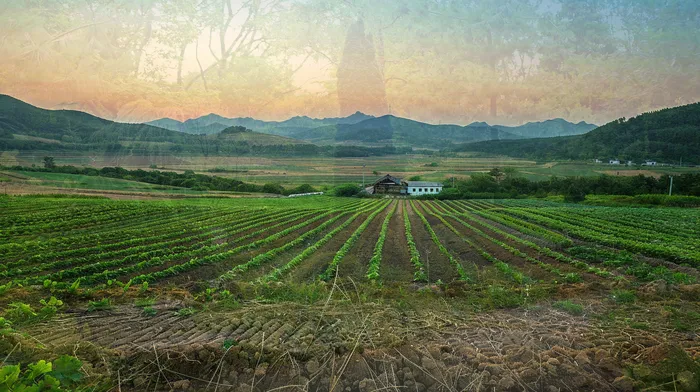 구상권개인회생