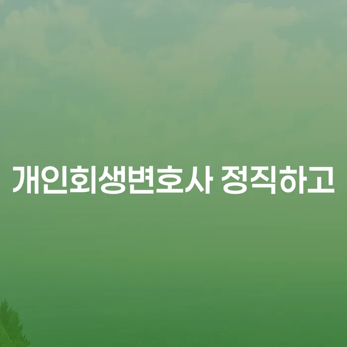 진안군 개인회생 상담 대출 받은 돈채무조정 알아봐야 할 사항