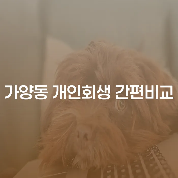 가양동 개인회생 간편비교