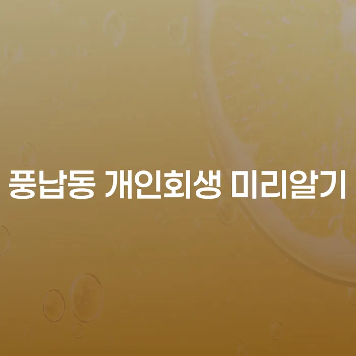 풍납동 개인회생 미리알기