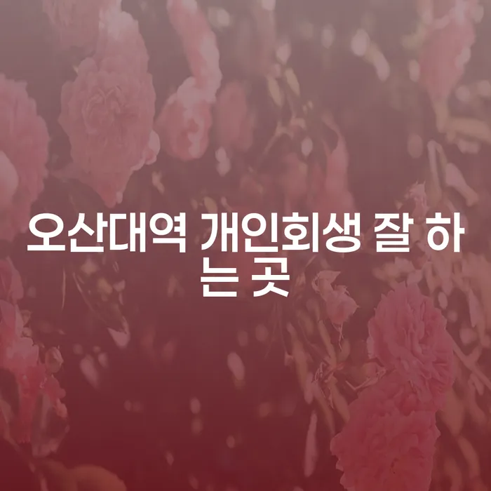 오산대역 개인회생 잘 하는 곳