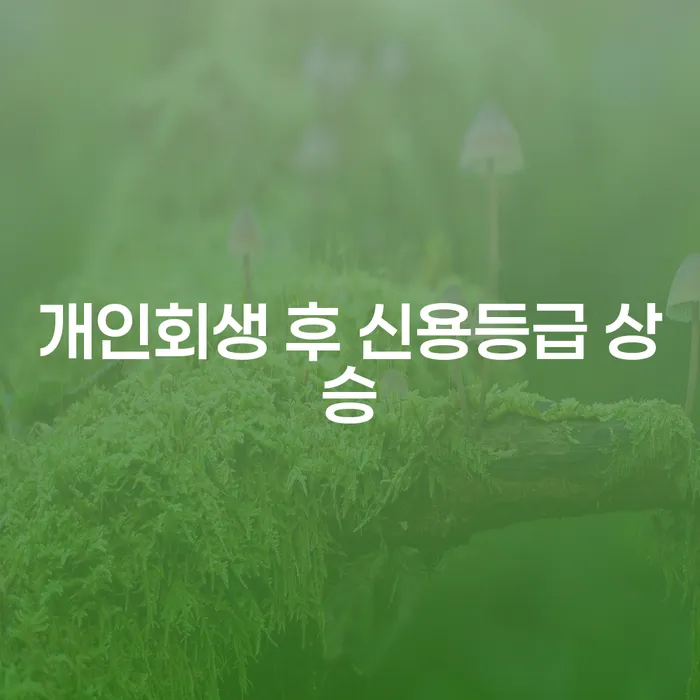 개인회생 후 신용등급 상승이 가능한가요?