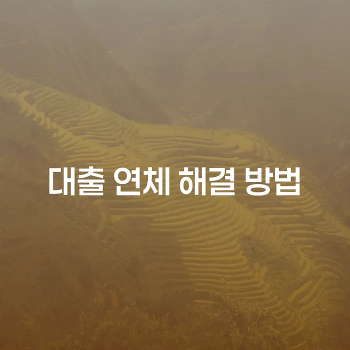 대출 연체 해결 방법: 어떻게 효과적으로 극복할 수 있을까?