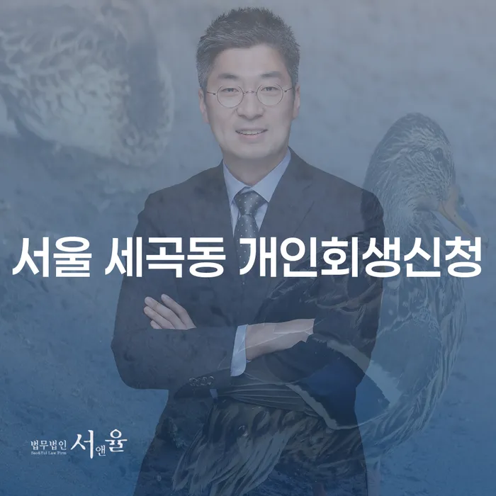 서울 세곡동 개인회생신청, 신속하고 효과적인 방법은?